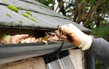 gutter cleaning Elson