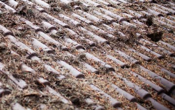 Elson roof cleaning companies