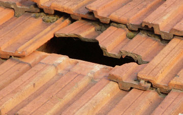 roof repair Elson