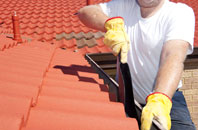 Elson roof cleaners